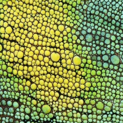 Mind the gap: Using advanced analytics to find and fill the holes in real world data