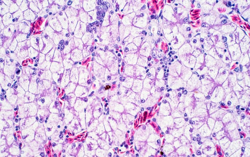 단일 세포 RNA 시퀀싱 적용의 미래