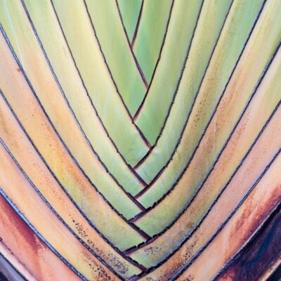 혁신이 항상 급진적일 필요는 없습니다- 당뇨병 치료제의 예