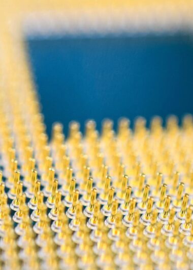 What to watch in the life sciences in 2024