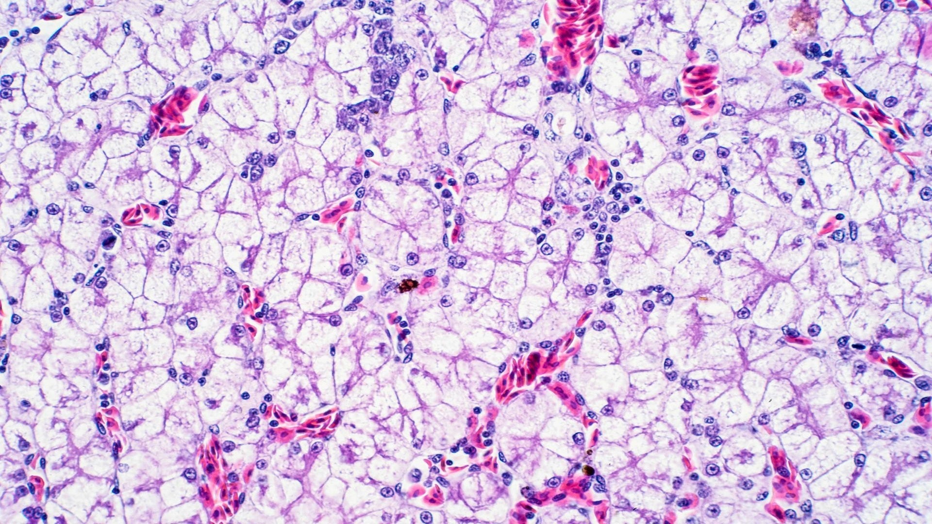 Aiming for ‘Magic Bullets’ in Medicine: Are We Shooting Ourselves in the Foot?