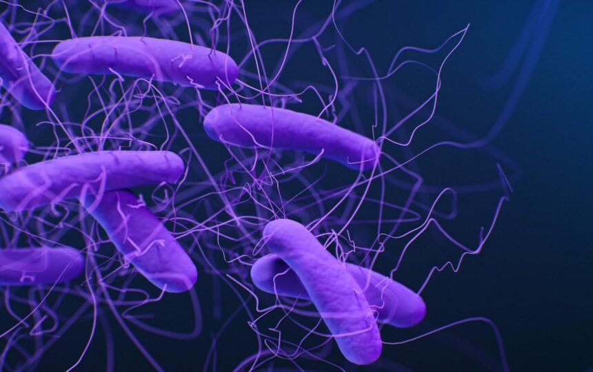 간에  초점을 맞춘 의료 영상 기법