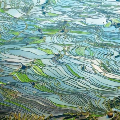 What a string of semaglutide biosimilars could mean for Mainland China