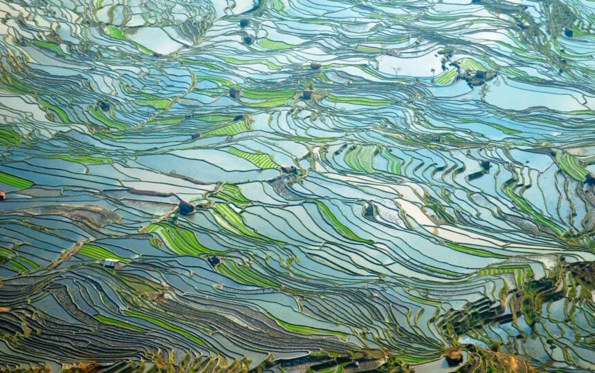 What a string of semaglutide biosimilars could mean for Mainland China