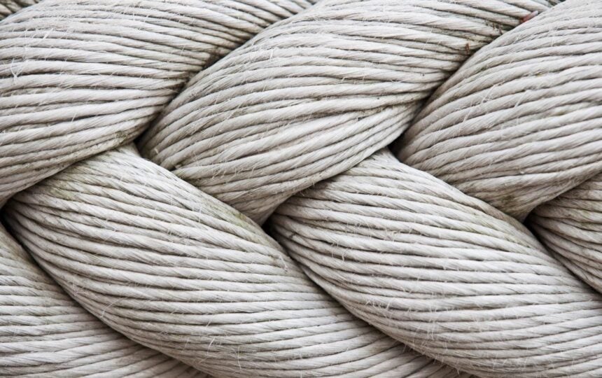 7개의 ADC 기업들이 난치성 암에 대한 새로운 가능성을 보여주는 치료제를 개발하고 있습니다.