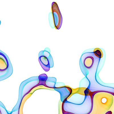 주목해야 할 ADC기업