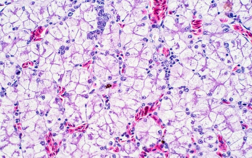 의학분야 ‘마법의 총알’을 노리다: 스스로 발등을 찍는 일일까요?