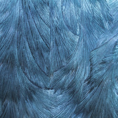 Summit LATAM 2024: How is Latin America growing?