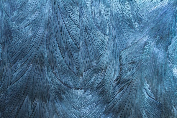 Summit LATAM 2024: How is Latin America growing?