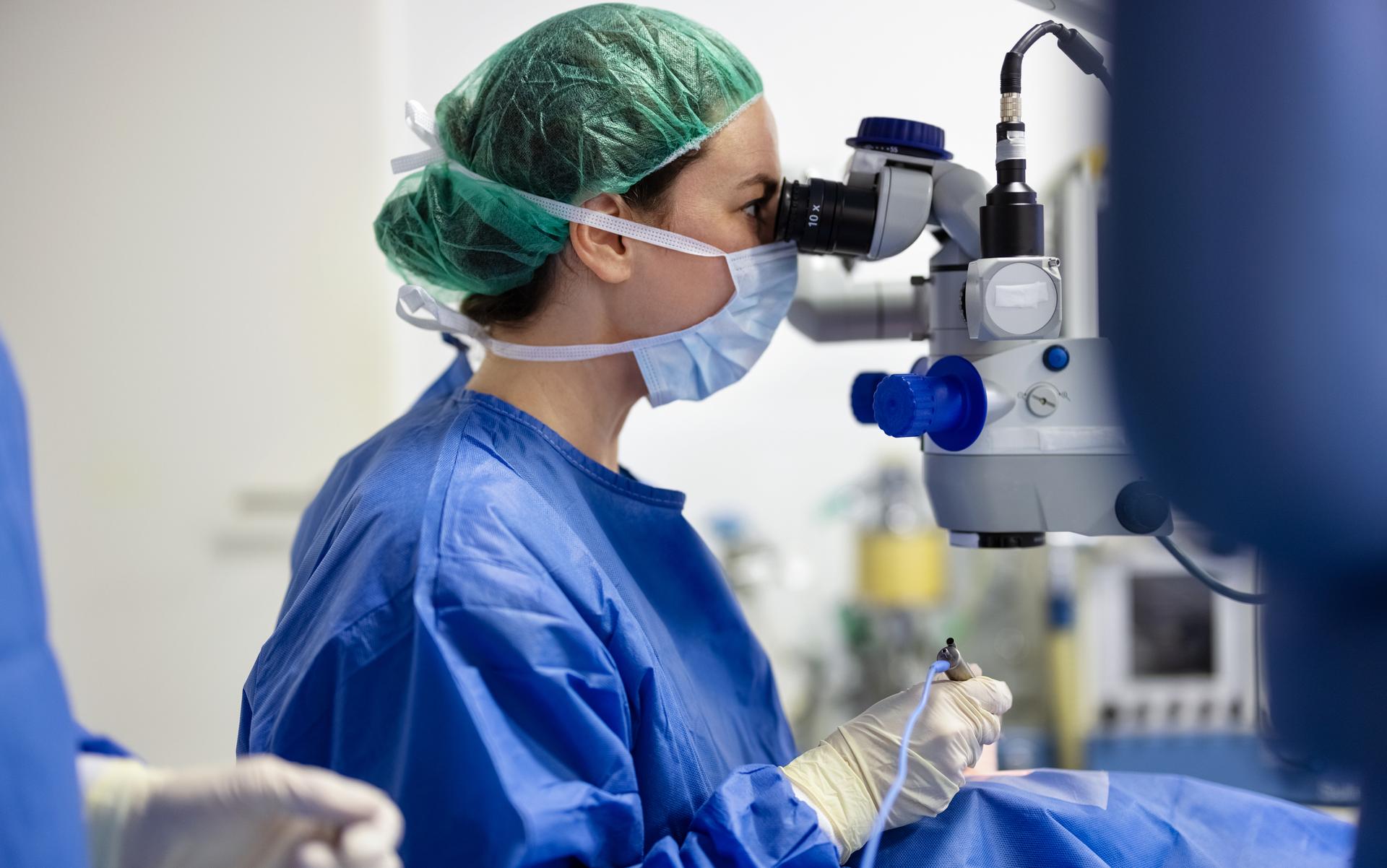 2024 Japan GI Endoscopy Device Market Snapshot