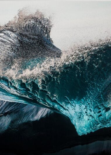정밀 종양학의 새시대를 여는 방사성 리간드 혁신기업들