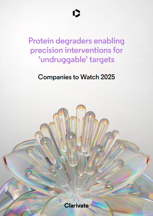 Companies to Watch 2025