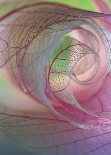 생명과학분야의 역설- 혁신과 복잡성