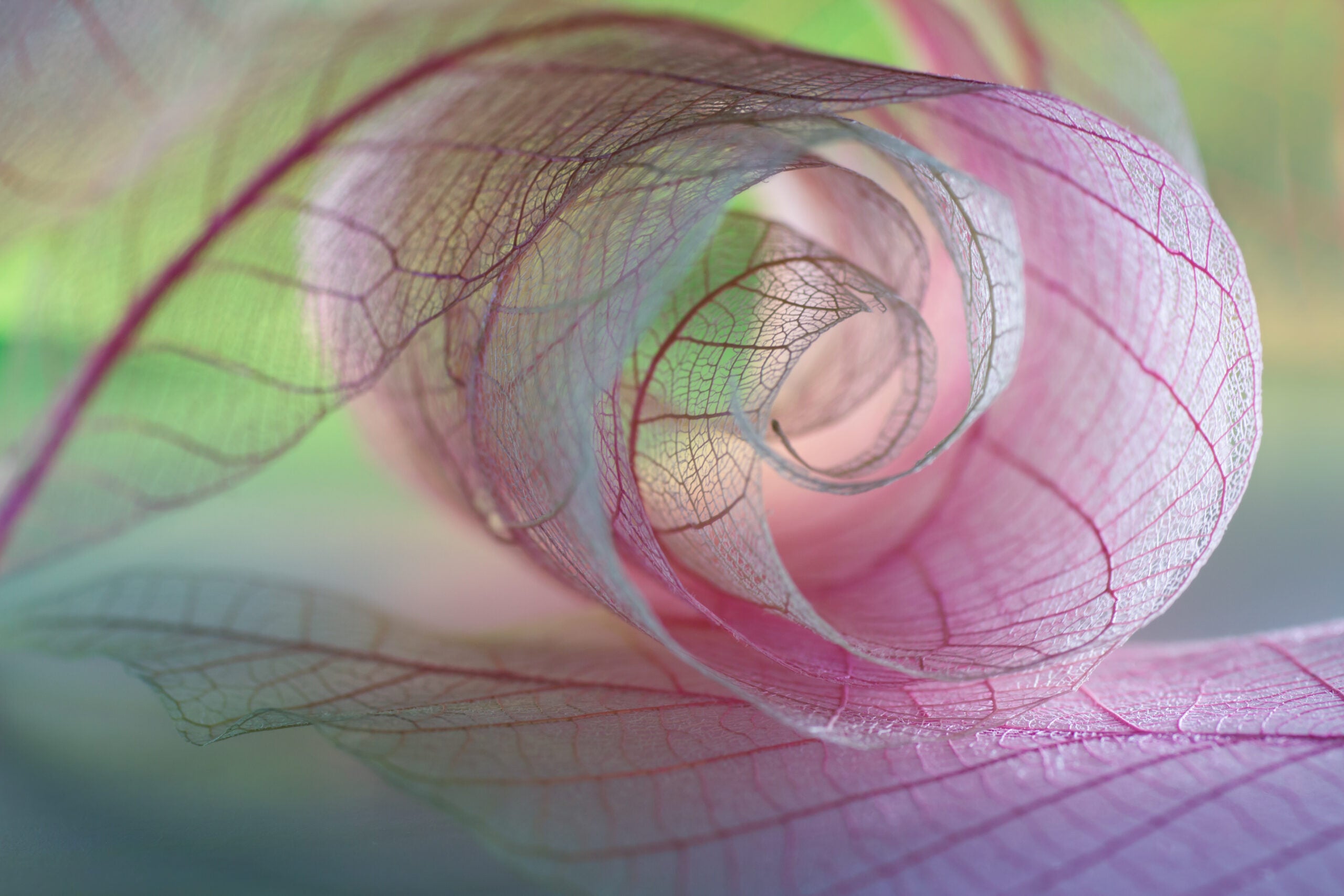 Seven companies forging new paths in women’s health