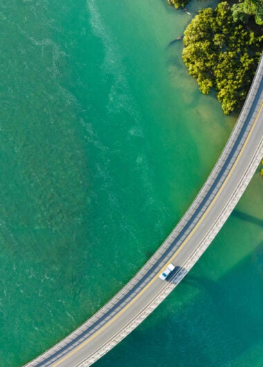 Why longevity might be biopharma's next big thing: The science and business converge