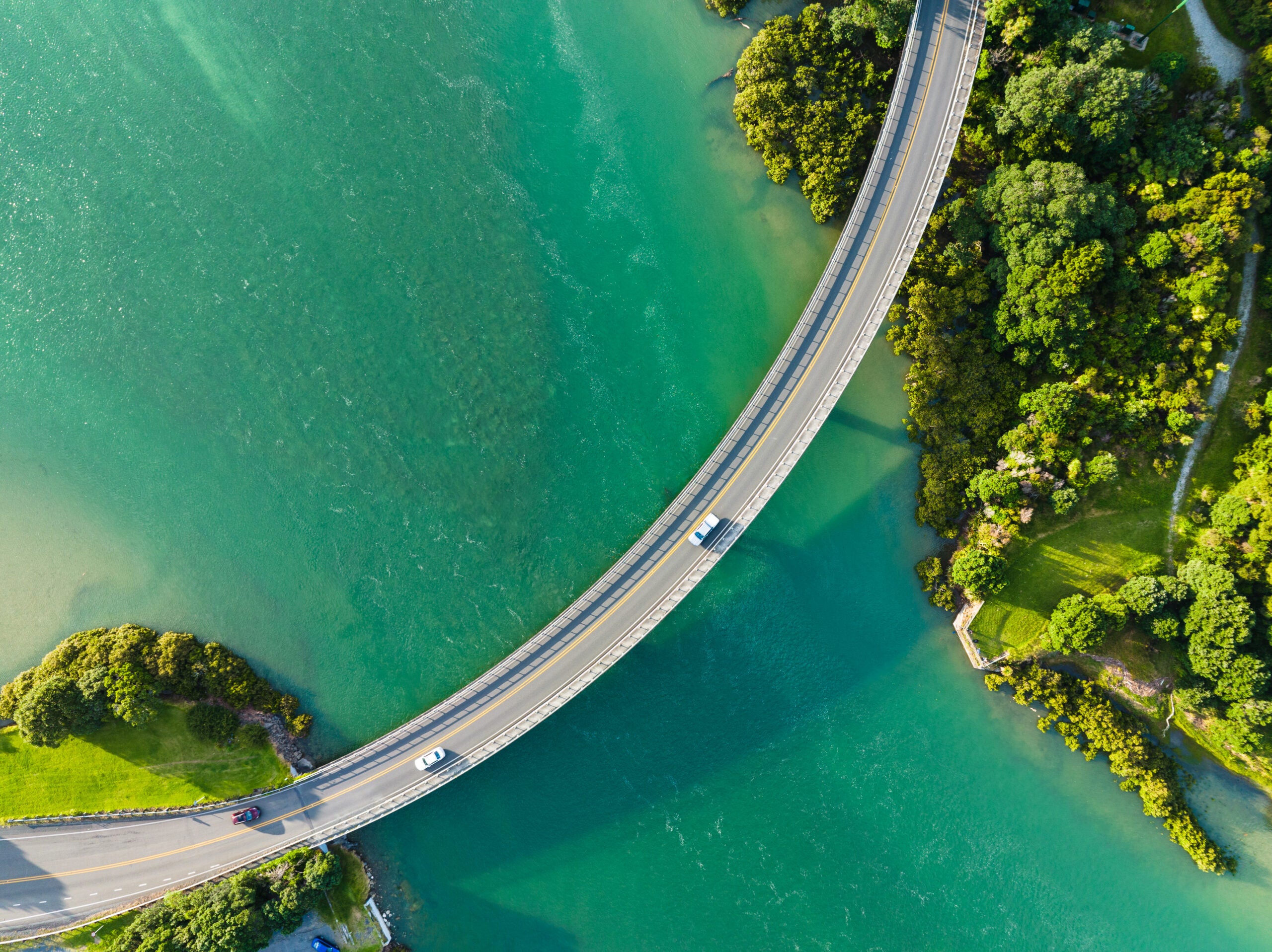 Why longevity might be biopharma’s next big thing: The science and business converge