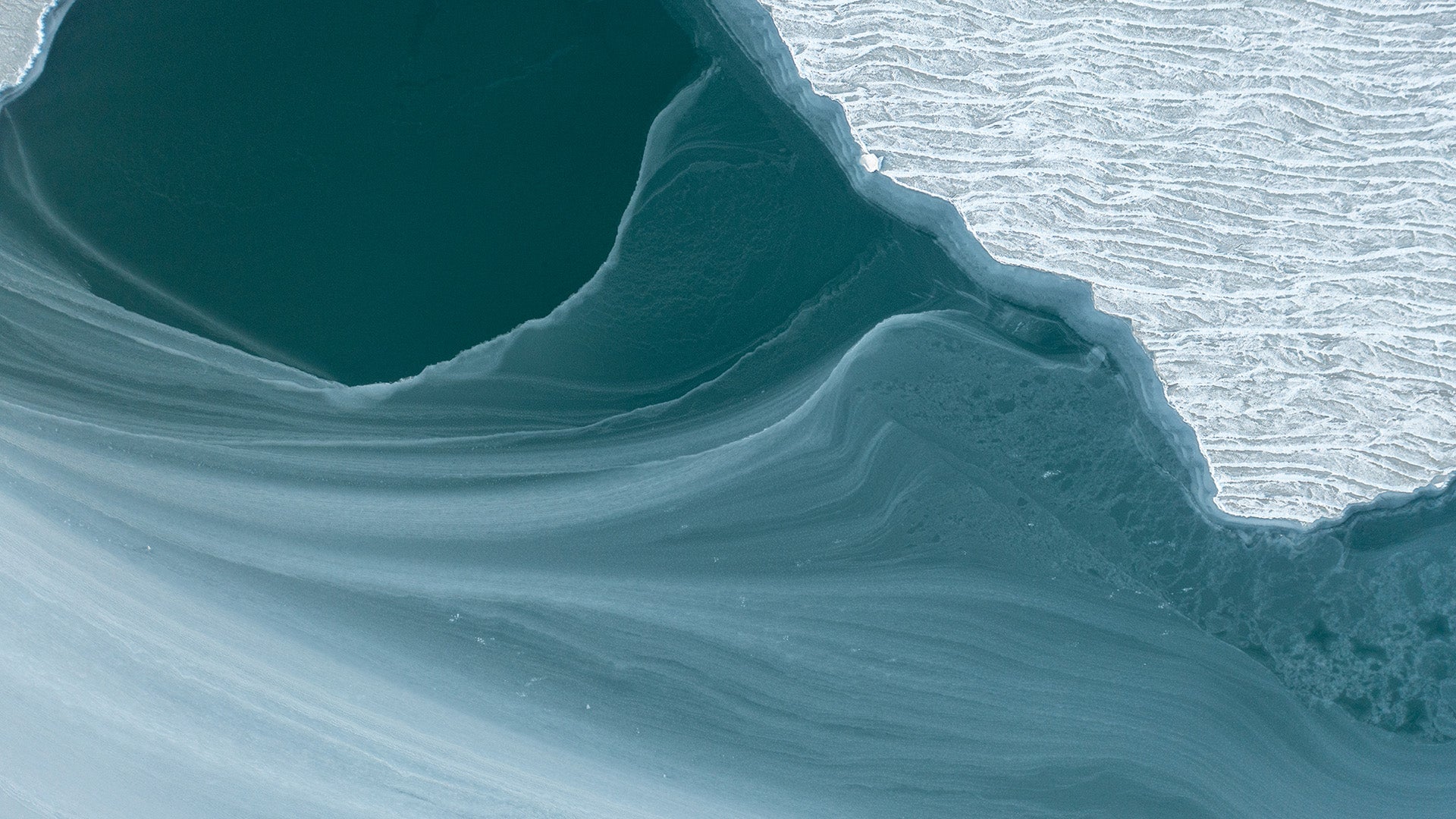 Navigating Complete Response Letters: how Clarivate solutions can help pharmas chart their path to approval