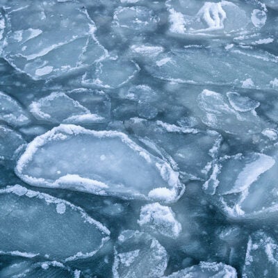 Relacorilant:  when evidence meets the established evidence bar