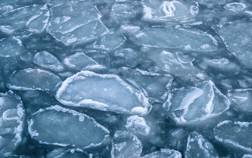 Relacorilant:  when evidence meets the established evidence bar