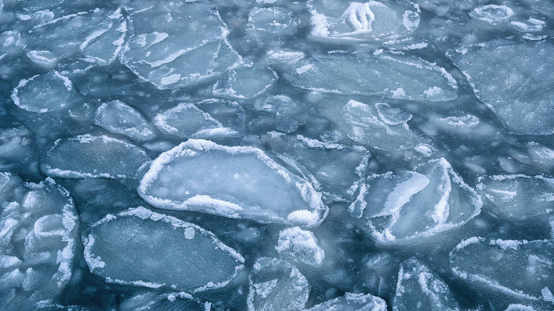 Relacorilant:  when evidence meets the established evidence bar