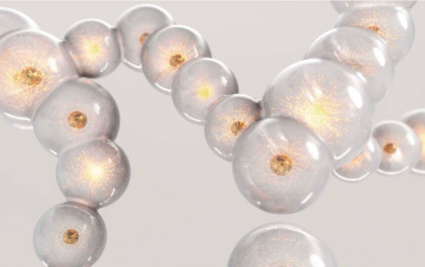 Companies to Watch 2026: Seven innovators shaping next-generation obesity therapies