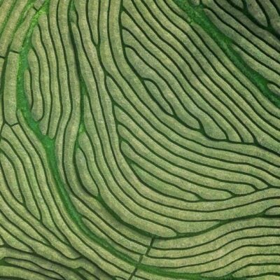 Multi-product portfolios: addressing complexity through smarter value communication