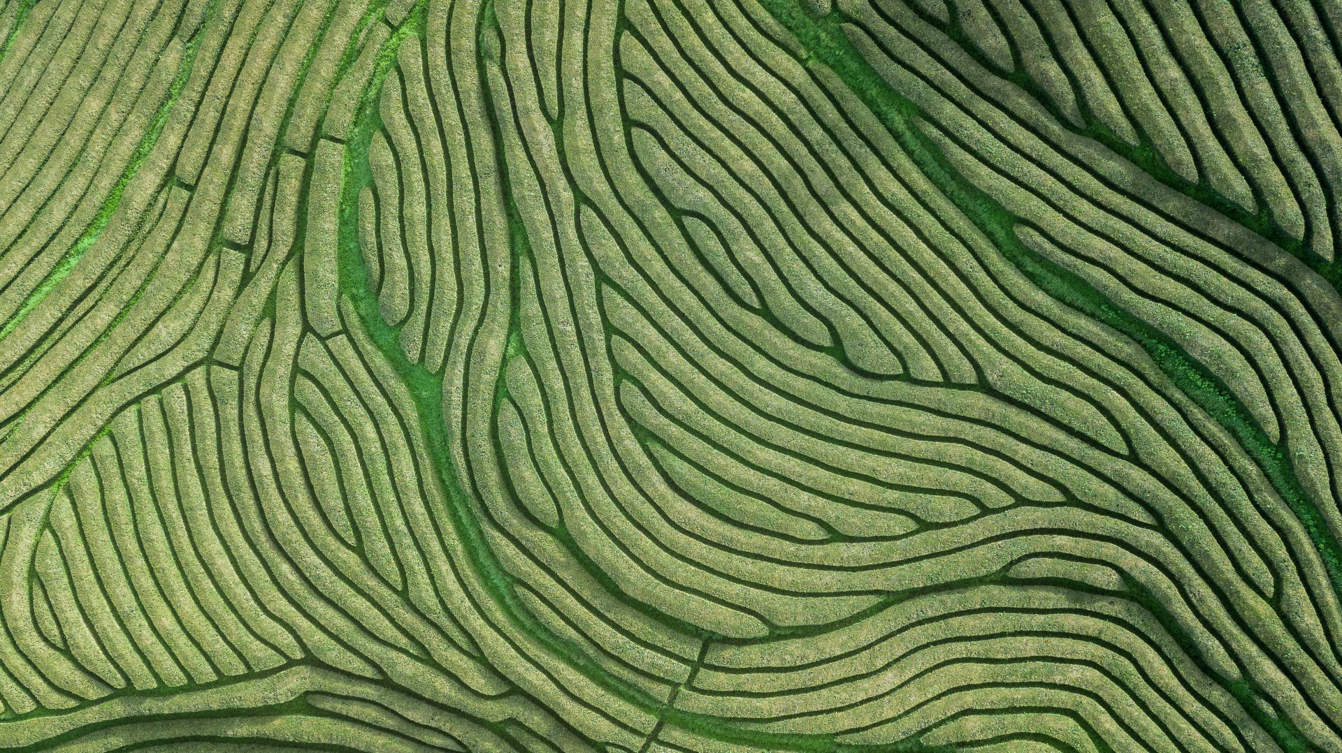Multi-product portfolios: addressing complexity through smarter value communication