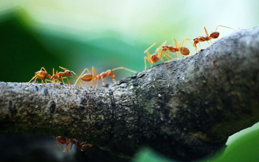 Clarivate Analytics Signs Collaborative Agreement with RISTEKDIKTI to improve research performance in Indonesia