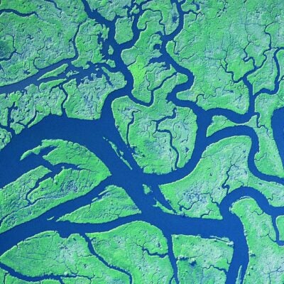 Working at the Web of Science Group