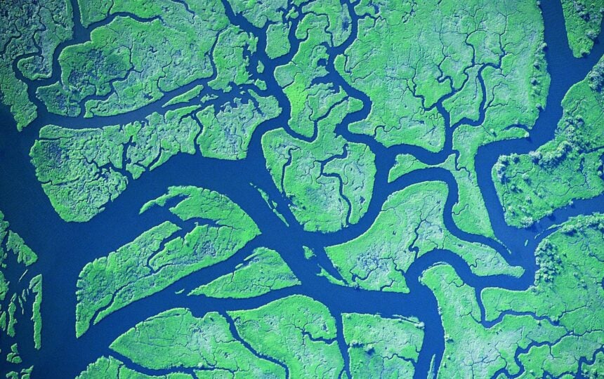 Working at the Web of Science Group