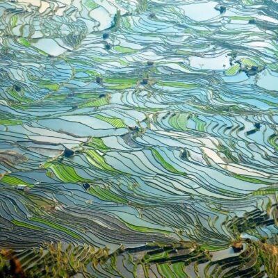 New InCites user interface offers intuitive workflows and dynamic, in-product guidance