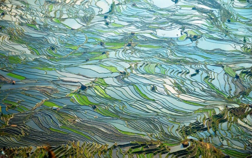 New InCites user interface offers intuitive workflows and dynamic, in-product guidance