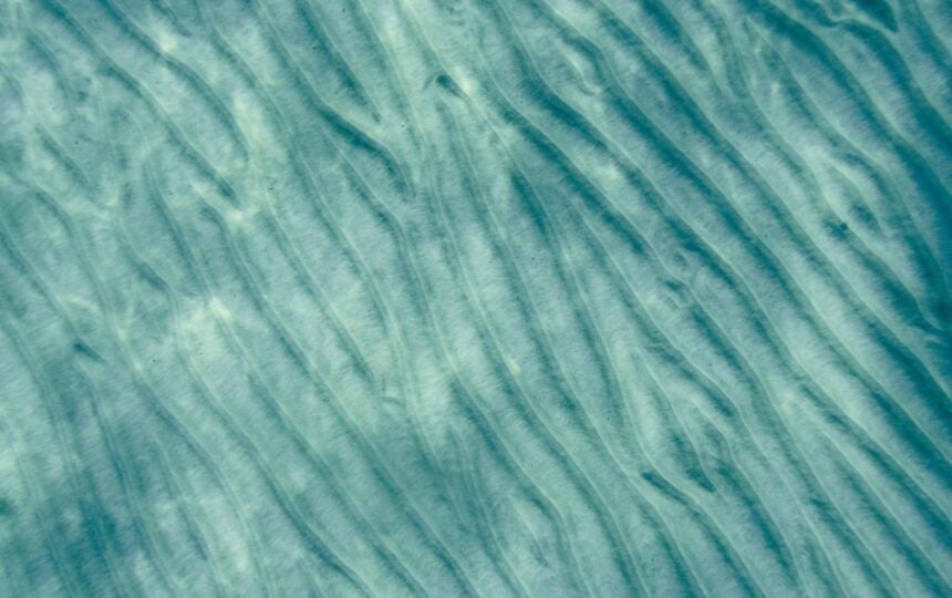 Women at sea inspire gender equality onshore