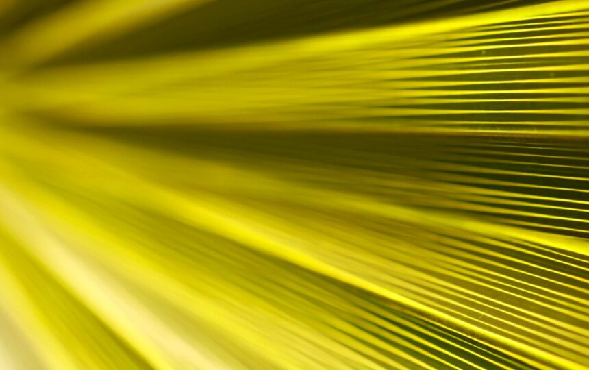 Life at Clarivate: celebrating talent and achievements