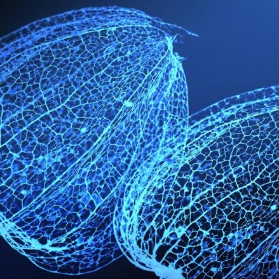 Working at Clarivate: helping great people do great things