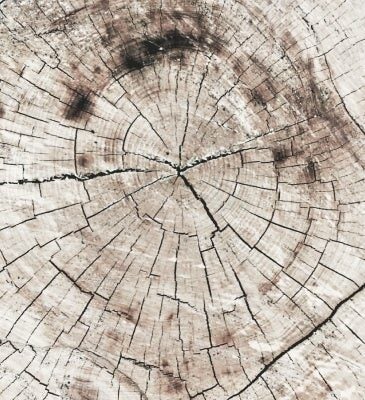 Confidently complying with global regulatory guidelines