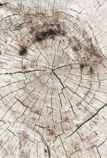 Confidently complying with global regulatory guidelines