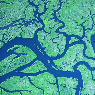 Women's leadership and COVID-19: Spotlight on Dr. Nandita Quaderi