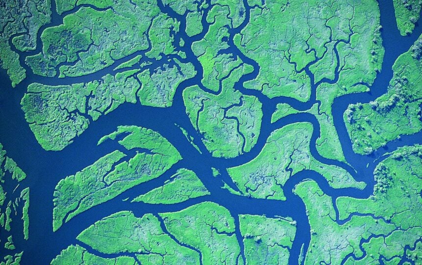 Women's leadership and COVID-19: Spotlight on Dr. Nandita Quaderi