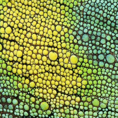 Women’s leadership and COVID-19: Spotlight on Shyama Ghosh