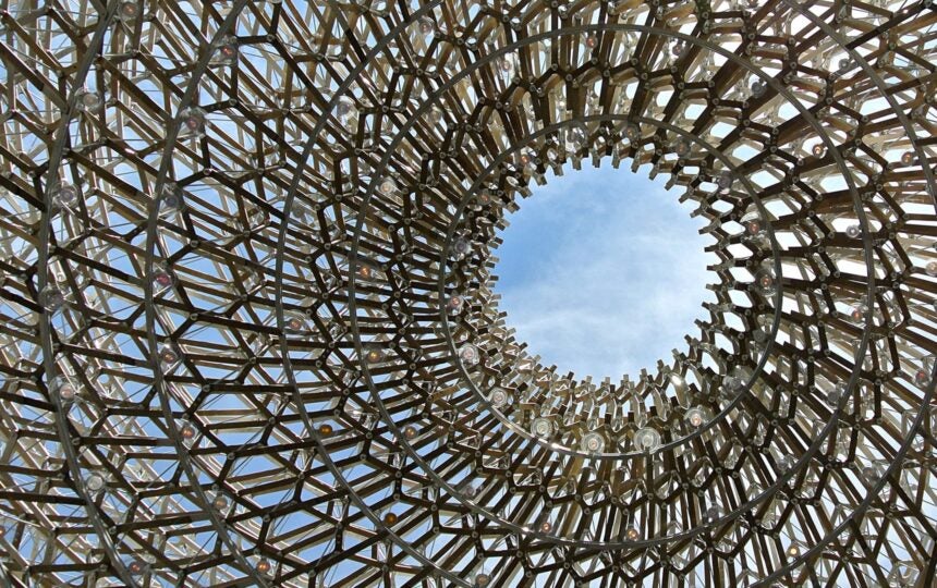 Women's leadership and COVID-19: Spotlight on Garima Kaul