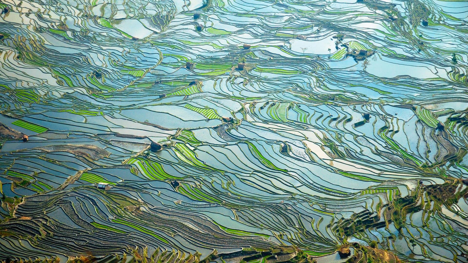 Listen, educate, recognize: a winning formula for staff engagement