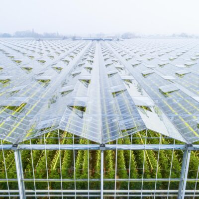 6 strategies to improve your appeal processes