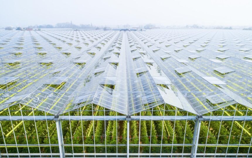 6 strategies to improve your appeal processes