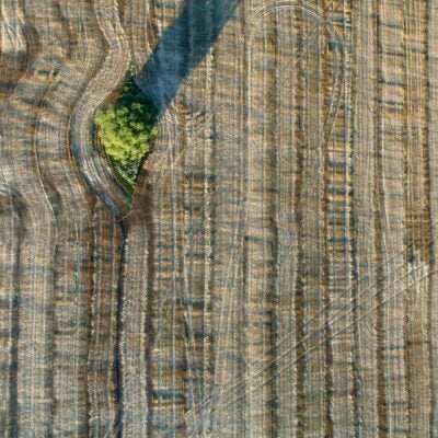 Clarivate announces opening of the new Chandler, AZ global business center