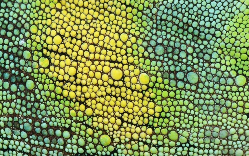 Welcome to the New ScholarOne Manuscripts Support