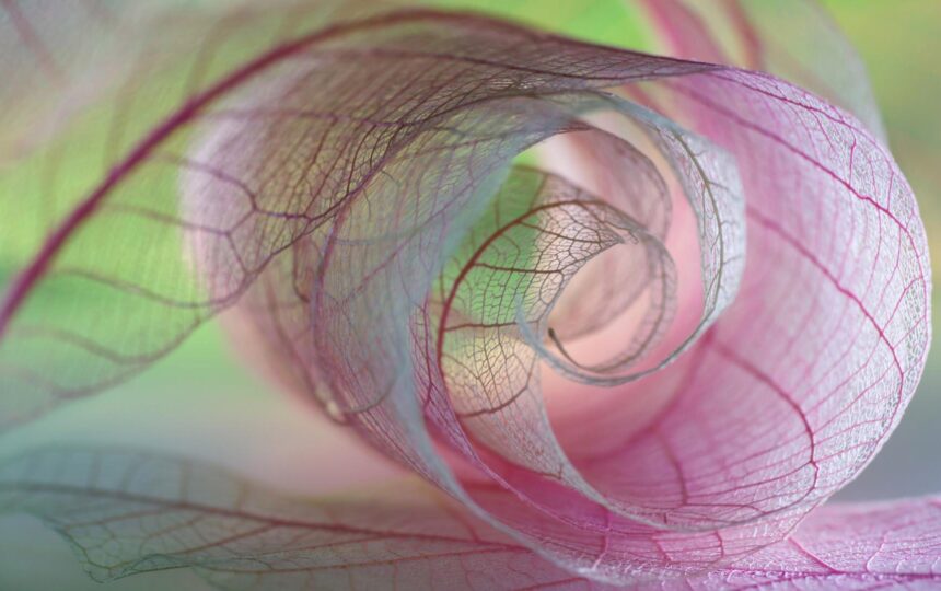 A sustainable approach to caring for the environment