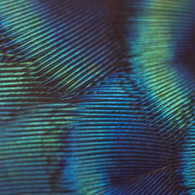 Advancing a sustainable world: Spotlight on Marilyn Johnson