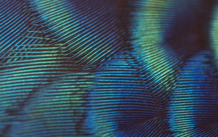 Advancing a sustainable world: Spotlight on Marilyn Johnson