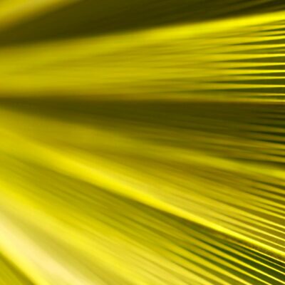 模倣品販売が他の犯罪の資金源に